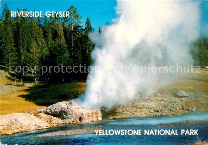 Geysire Vulcans Geysers Vulkane Riverside Geyser Yellowstone National Park