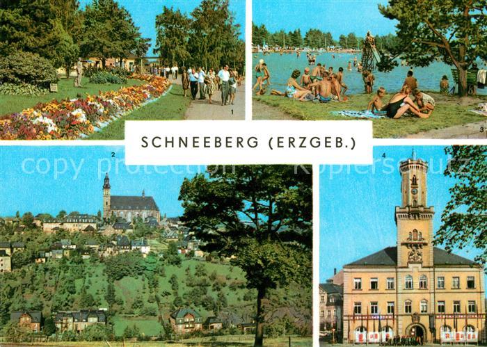 Schneeberg Erzgebirge Filzteich Kirche Rathaus