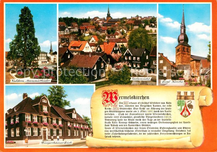 Wermelskirchen Evangelische Kirche Kaliforn- Mammuskiefer Buergerhaeuser Eich