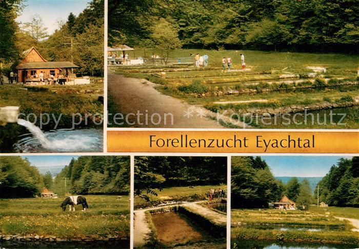 Eyach Eutingen Gaeu Forellenzucht Eyachtal Teilansichten