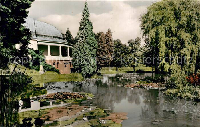 Bad Wildungen Seerosenteich im Kurpark