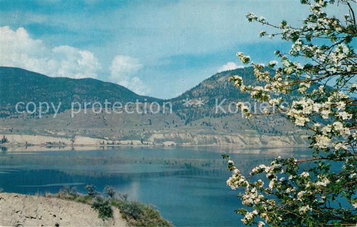 Okanagan Falls Blossom Time