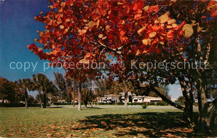 Clearwater Beach Rockaway Park