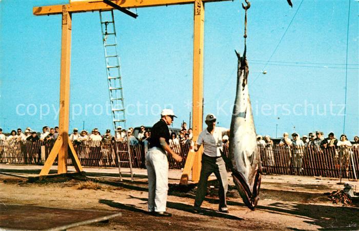 Narragansett Galilee Fishing Village