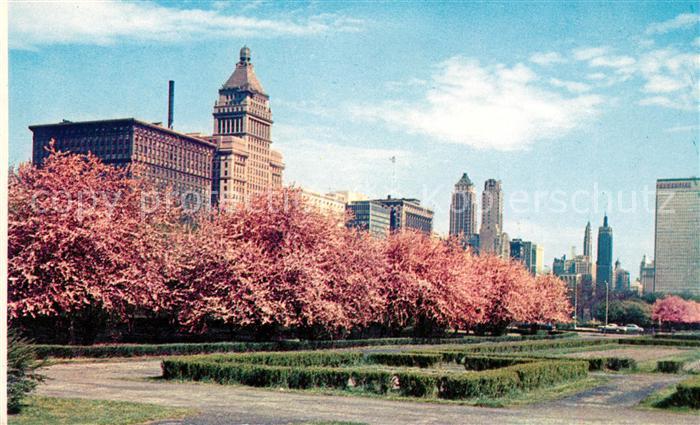 Chicago Illinois South Michigan Avenue Grant Park