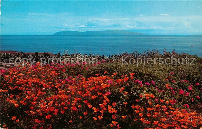 California US-State Santa Catalina Island