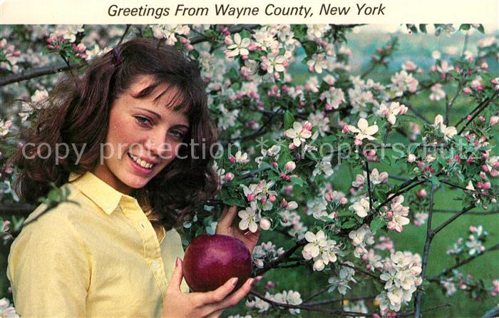 Wayne New York Apples blossom like this each May