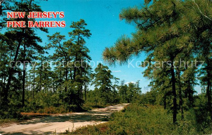 New Jersey Pine Barrens