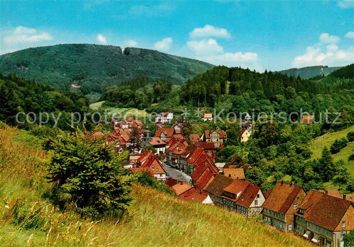 Bad Grund Blick vom Knollen zum Iberg