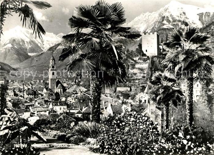 Meran Merano Panorama