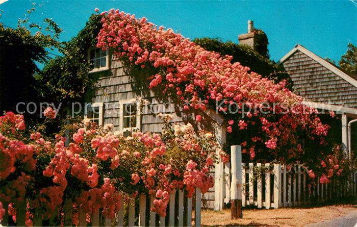 Cape Cod Mass. Rose Covered Cottages