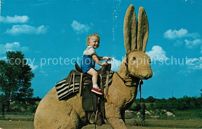 Pacifica This medium size Texas Jack Rabbit is now extinct
