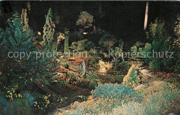 Victoria British Columbia The Sunken Garden by night The Butchart Gardens