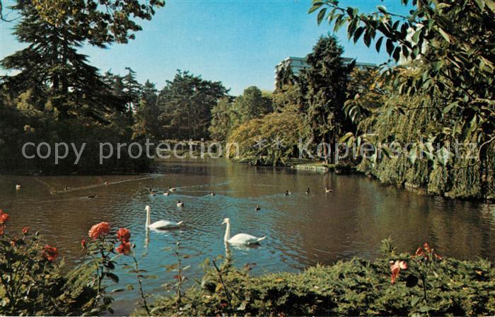 Victoria British Columbia Good Acre Lake Beacon Hill Park