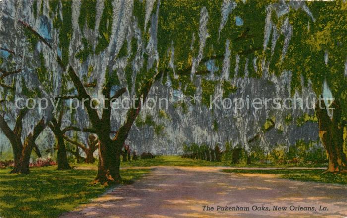 New Orleans Louisiana The Pakenham Oaks
