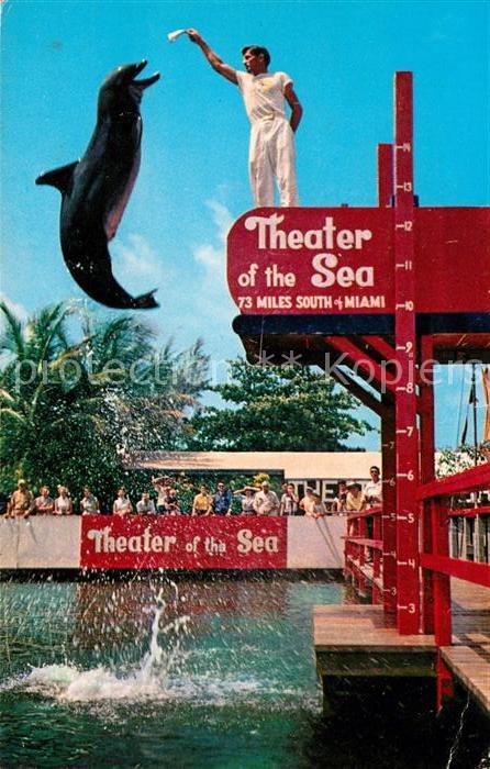 Savannah Georgia Theater of the Sea Delphinarium