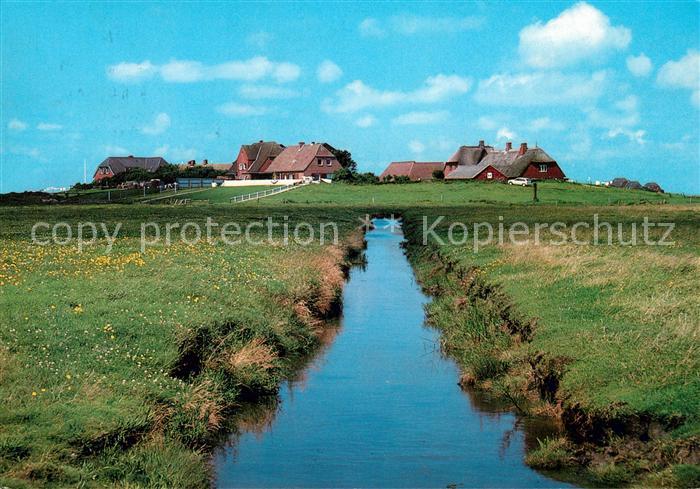 Hallig Hooge Mitteltritt Lorenzwarft