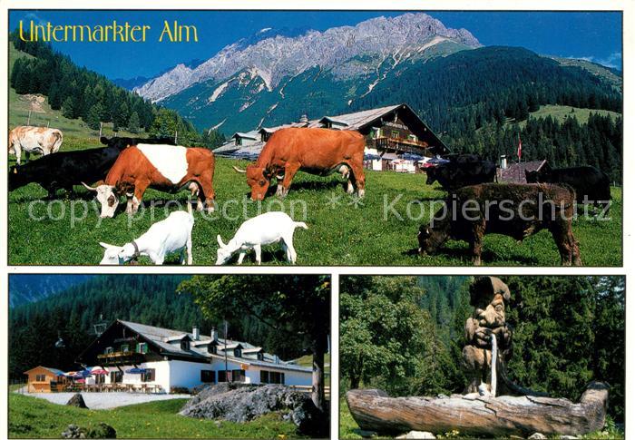 Imst Tirol Untermarkter Alm Brunnen