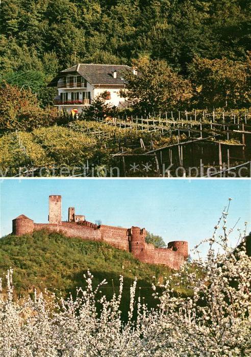 Frangart Frangarto Garni Hotel Etschblick Baumbluete Burgruine