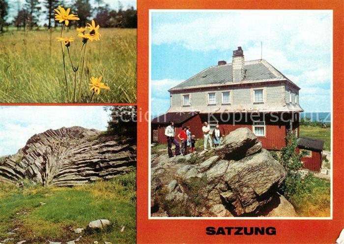 Satzung Arnika Nephelinbasalt Hirtsteinbaude