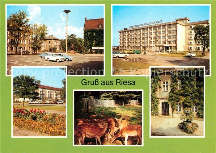 Riesa Sachsen Rathaus Tierpark Leninplatz