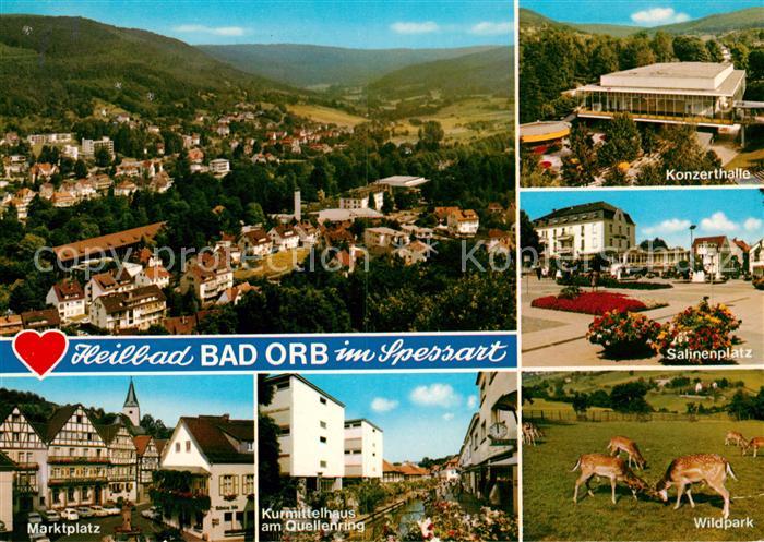 Bad Orb Panorama Marktplatz Kurmittelhaus Konzerthalle Salinenplatz Wildpark
