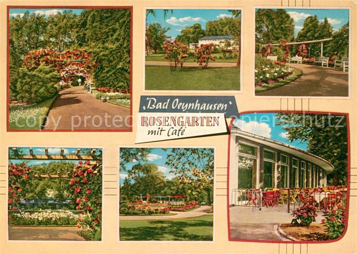 Bad Oeynhausen Rosengarten mit Cafe