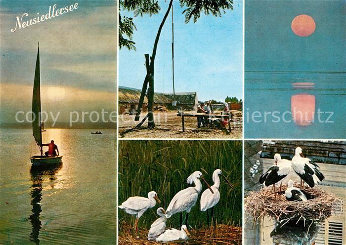 Neusiedl See Sonnenuntergang am Neusiedlersee Pusztabrunnen Loeffler Familie und