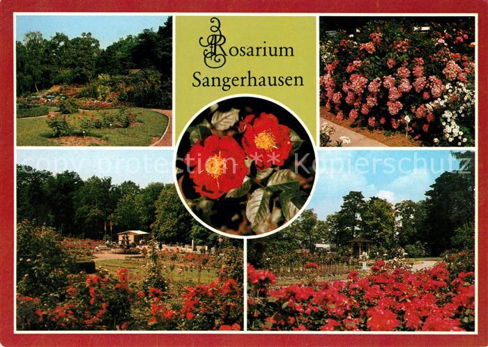 Sangerhausen Suedharz Rosarium Groesste Rosensammlung der Welt
