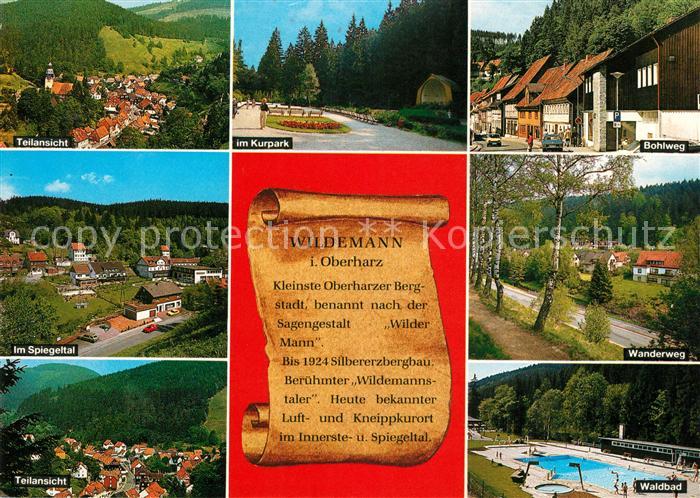 Wildemann Teilansicht Kurpark Bohlweg Spiegeltal Wanderweg Waldbad