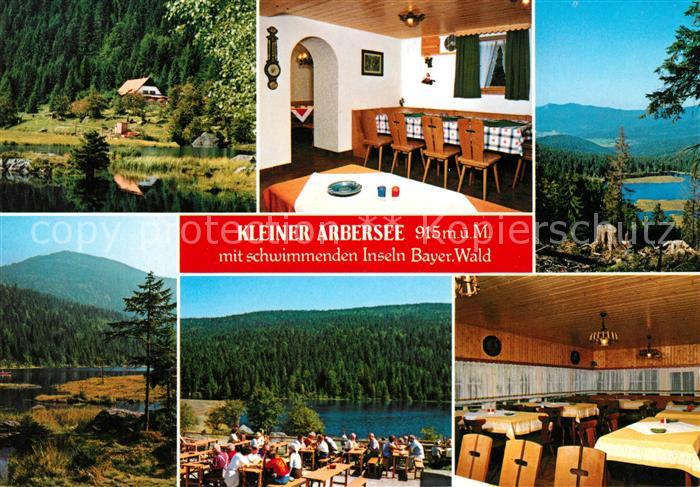 Lohberg Lam Kleiner Arbersee Seegaststaette Landschaftspanorama Bayerischer Wald