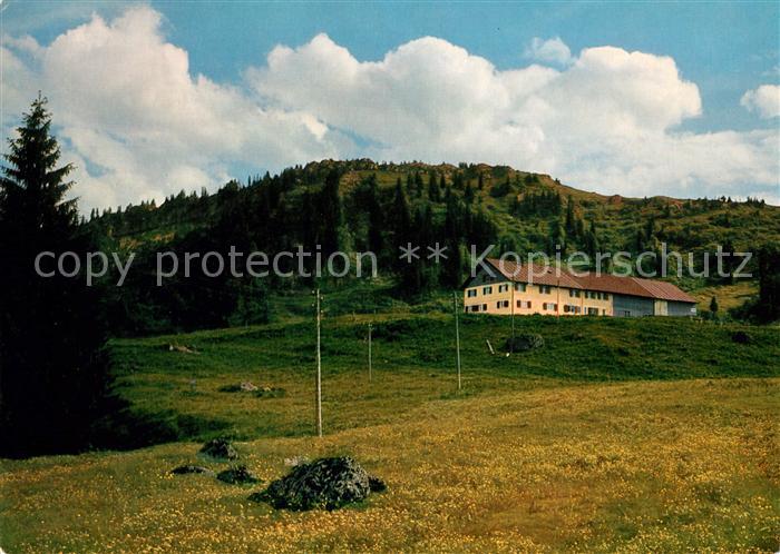 Steibis Alpengasthaus Hoermoos Alpe