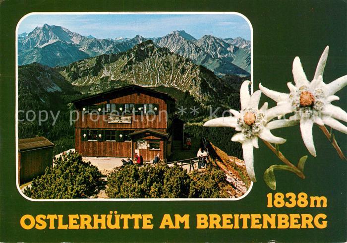 Pfronten Ostallgaeu Bayern Ostlerhuette am Breitenberg Alpenpanorama Edelweiss