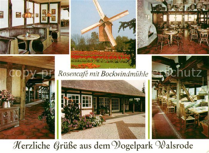 Walsrode Lueneburger Heide Vogelpark Rosencafe mit Bockwindmuehle