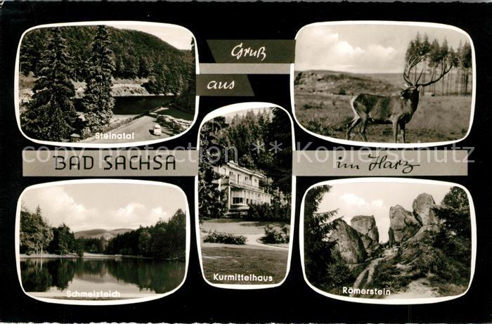 Bad Sachsa Harz Steinatal Schmelzteich Kurmittelhaus Roemerstein Hirsch