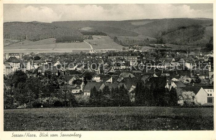 Seesen Harz Blick vom Sonnenberg