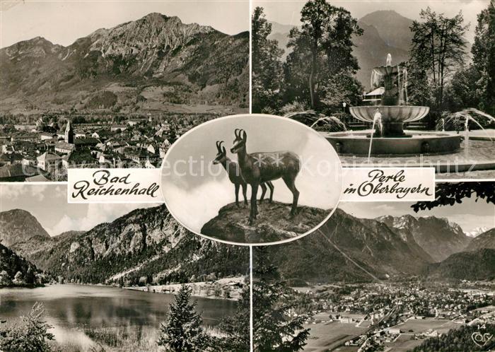 Bad Reichenhall mit Hochstaufen und Zwiesel Brunnen Gemsen