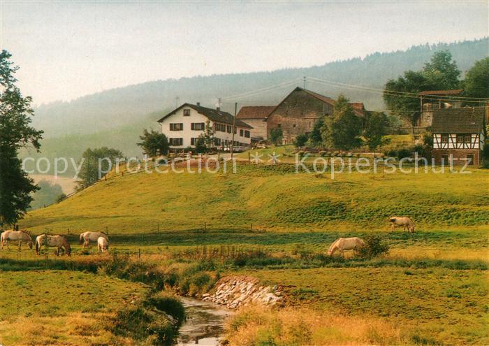 Huettenthal Mossautal Waldhubenhof Panorama