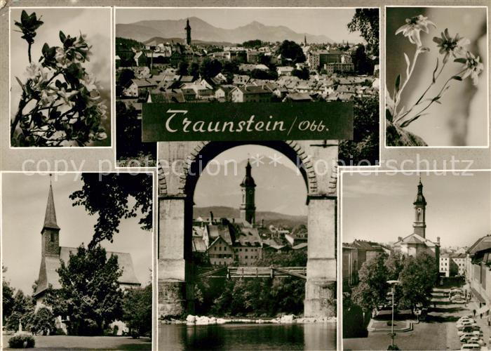 Traunstein Oberbayern Panorama Kirchen