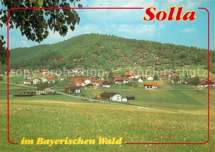 Solla Wald Panorama