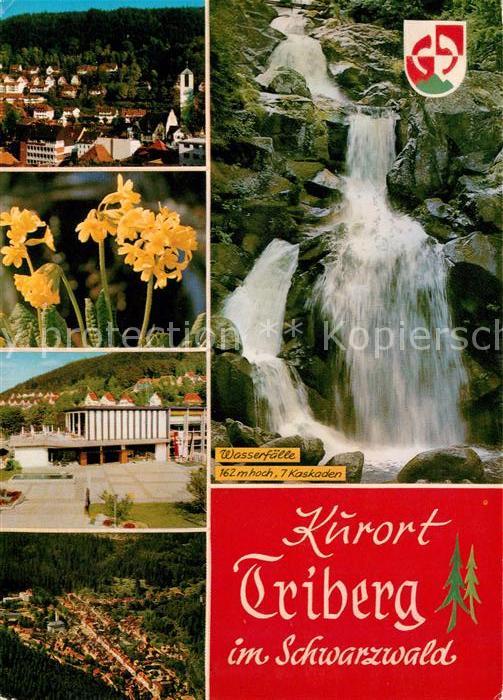Triberg Schwarzwald Wasserfall