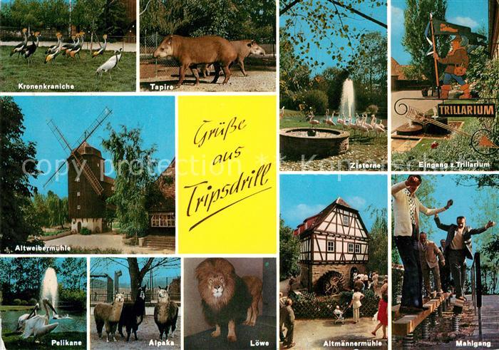 Tripsdrill Cleebronn Kronenkraniche Trillarium Altmaennermuehle