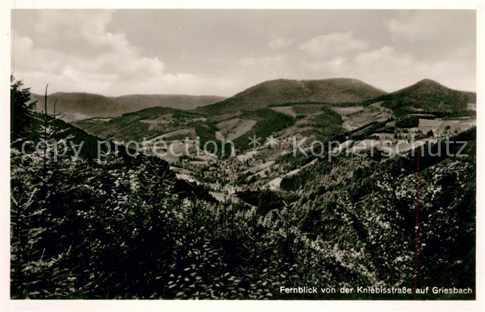 Bad Griesbach Schwarzwald  Fernblick von der Kniebisstrasse