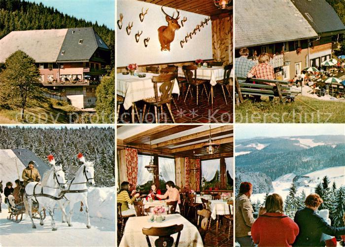 Hornberg Schwarzwald Hoehengasthof Pension Schoene Aussicht Pferdeschlitten