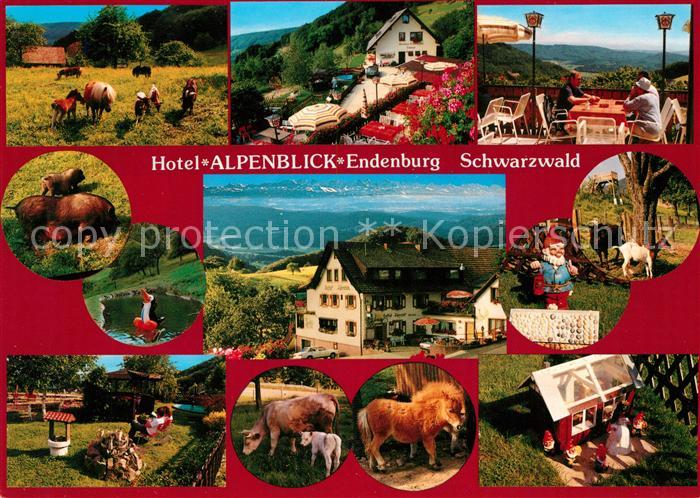 Endenburg Hotel Alpenblick Pferde Schweine Kuehe