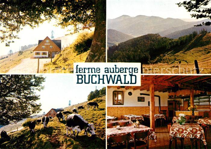 Breitenbach-Haut-Rhin Ferme Auberge Buchwald