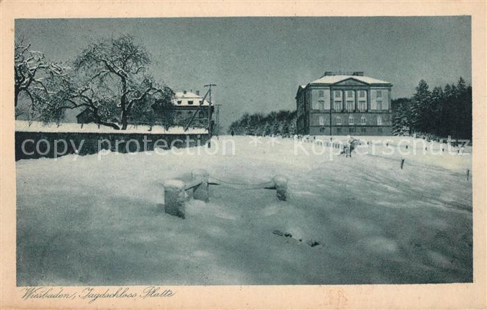 Wiesbaden Jagdschloss Platte