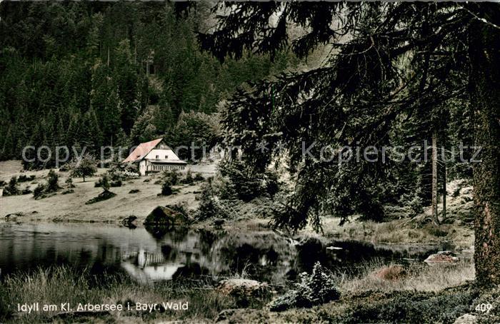 Arber Idyll am Kleinen Arbersee
