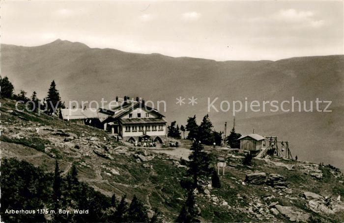 Arber Arberhaus Panorama