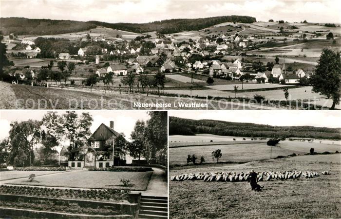 Neuenheerse Panorama Park Schafherde